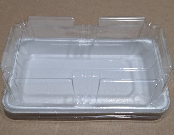 BANDEJA EPS TAMPA PET 16X10X6CM